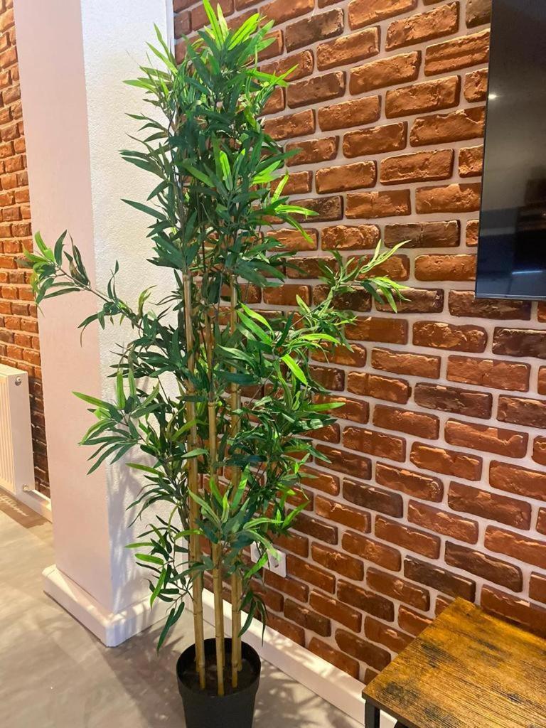 Luxurioese Loft Mit Garten Naehe Duesseldorf Messe Κρέφελντ Εξωτερικό φωτογραφία